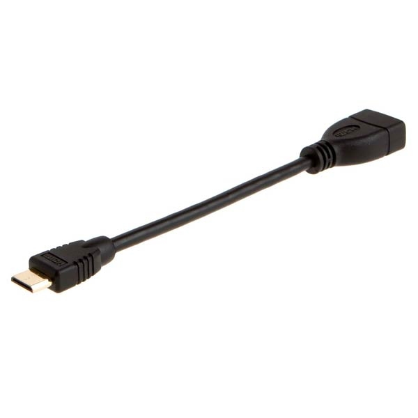 HDMI to Mini HDMI Adapter