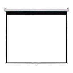 Manual projector Screen 100" (203sm x 152sm)