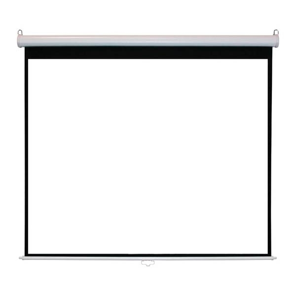 Manual projector Screen 100" (203sm x 152sm)